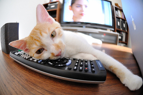 爱游戏电竞官网-NBA官方发布季后赛新规，比赛策略或将改变，nba季后赛比赛赛制