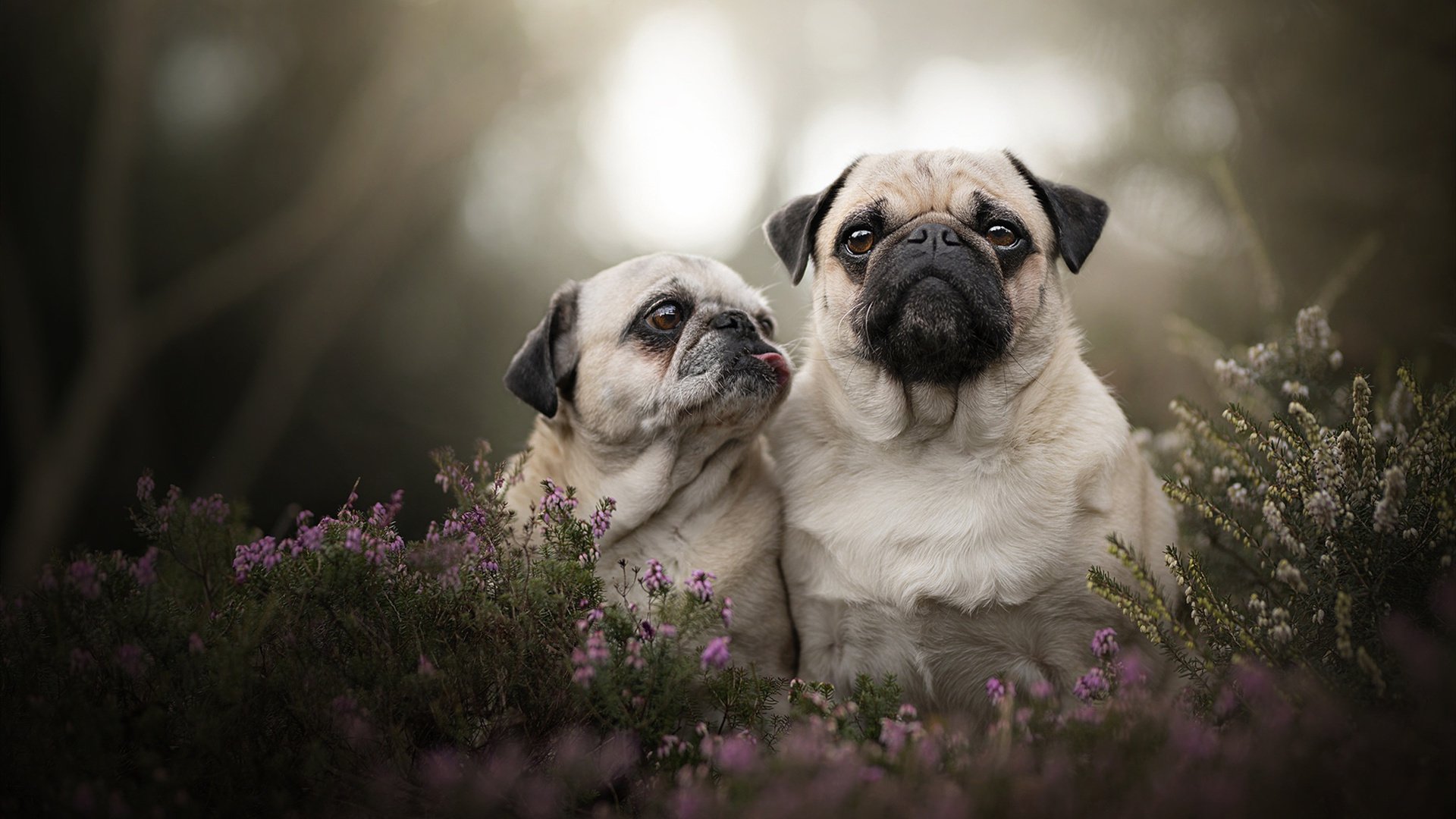 爱游戏app下载-“战术布局：赛事中的智赢策略”，竞赛战术