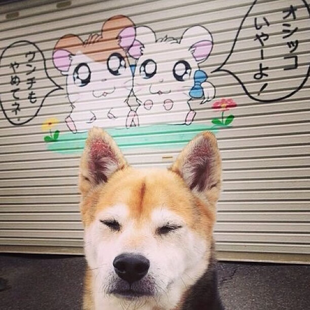 AIYOUXI.COM-“极速穿越极限，惊心动魄一瞬间”——WRC年度最燃超车大典，wrc经典赛车