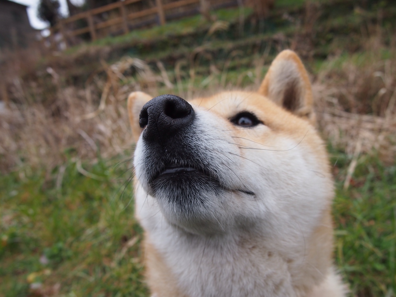 AYX体育-“逆境突围”——车队突破重围的战略布局，逆境中突围