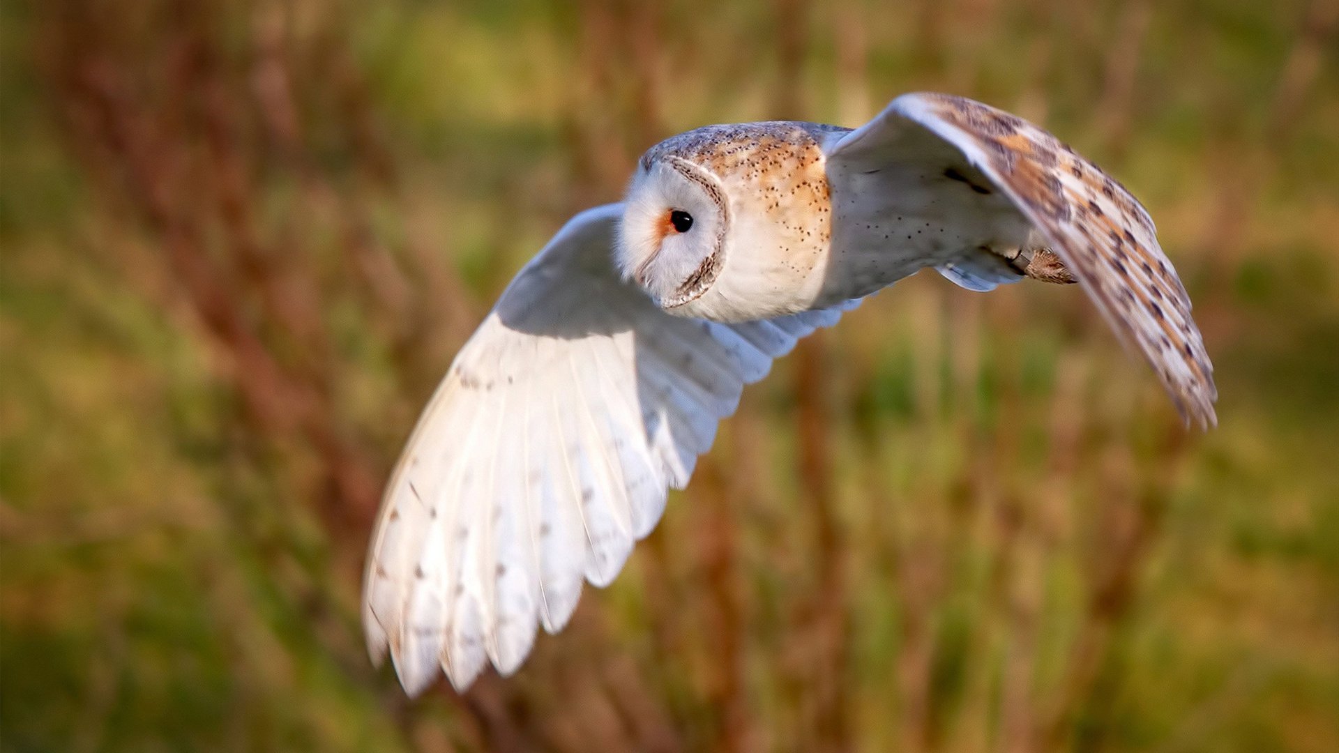 爱游戏电竞官网-北京青少年篮球赛精彩纷呈，培养青训力量，2021北京青少年俱乐部篮球联赛