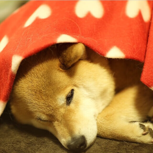 爱游戏体育平台-意甲超级巨星连续亮相,精彩瞬间频频出现,意甲大牌球星