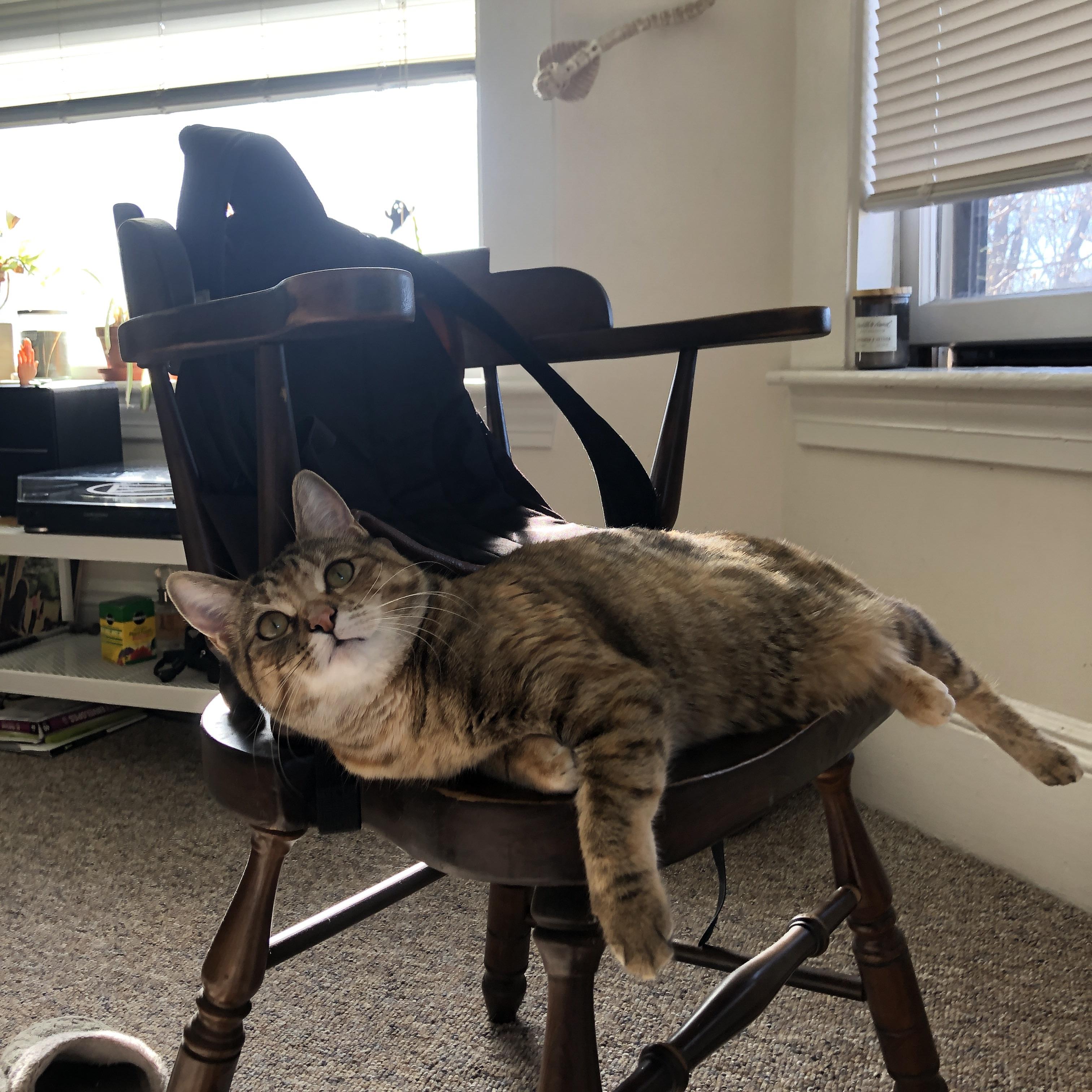 爱游戏体育平台-T1战队跨界合作项目曝光，t1战队成员详细信息