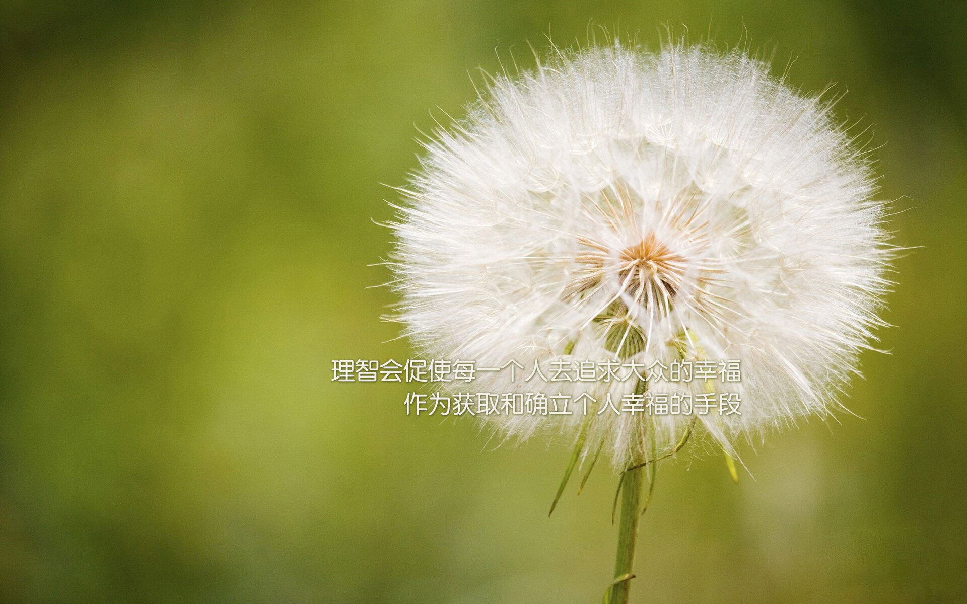 爱游戏下载-KPL裁判培训课程升级，执行细则与国际接轨，王者裁判