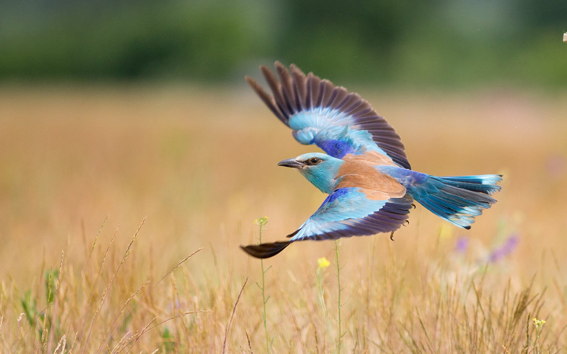 爱游戏体育平台-数据排名是否决定市场价值，数据排名是否决定市场价值指标