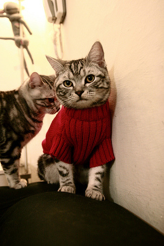 爱游戏中国官方登录入口网站-NBA西区总决赛加时大战 巨星对撼,nba加时赛有几个暂停