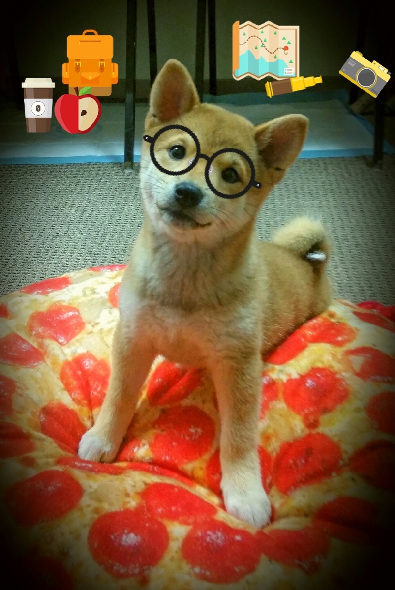 爱游戏体育官方网站-欧国联赛球队实力对比，争夺激烈，欧国联球队实力排名