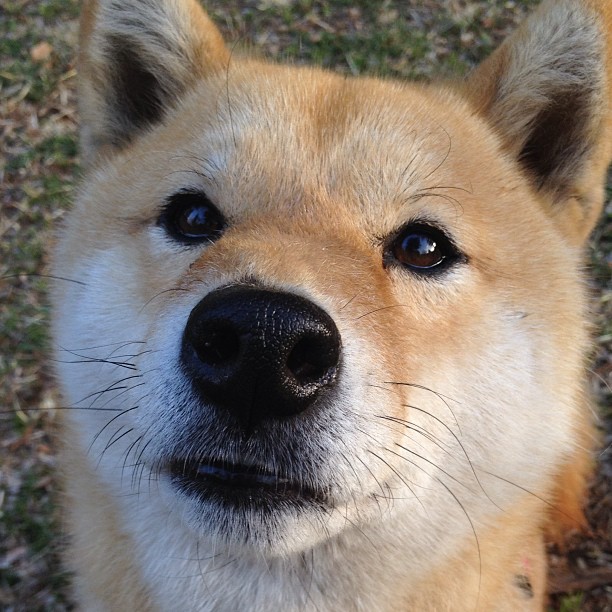 爱游戏官方-球员体能数据监测,优化训练计划,nba球员体能