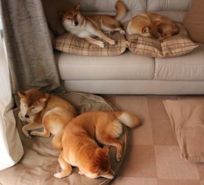 AYX体育官网-多特蒙德引进新后卫,德甲豪门加强实力,多特蒙德德甲第几