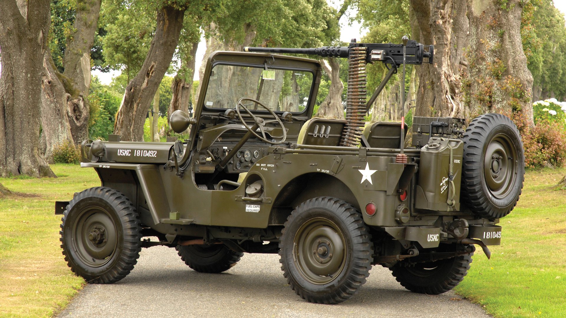 爱游戏-女足比赛冠军产生，球迷狂欢庆祝，女足辉煌