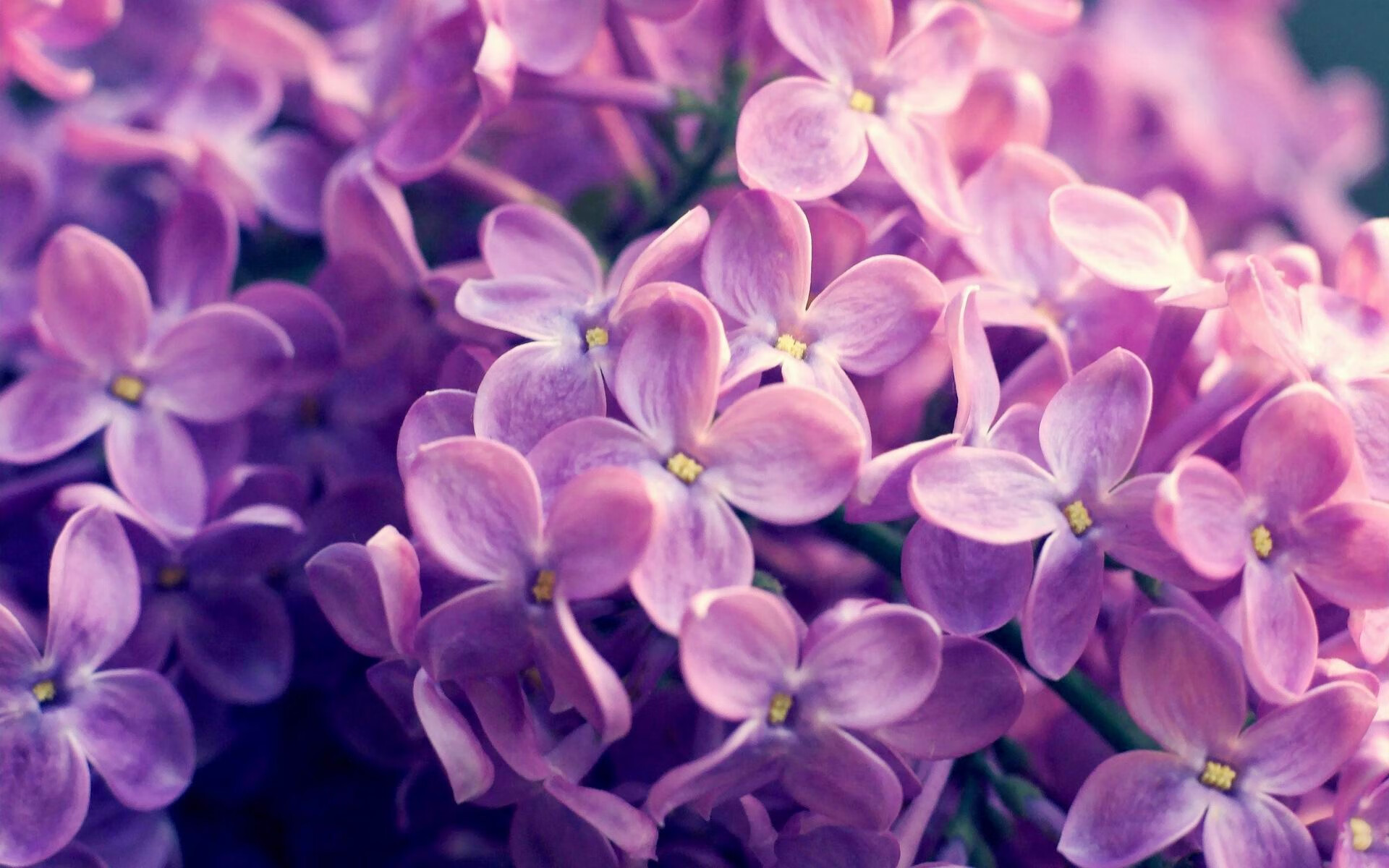 AIYOUXI.COM-日本足球充满希望与激情！，浅谈日本足球