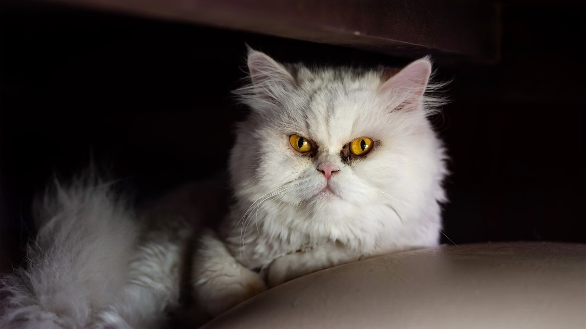 爱游戏-体育场馆智能化升级方案，体育场馆智能化升级方案怎么写