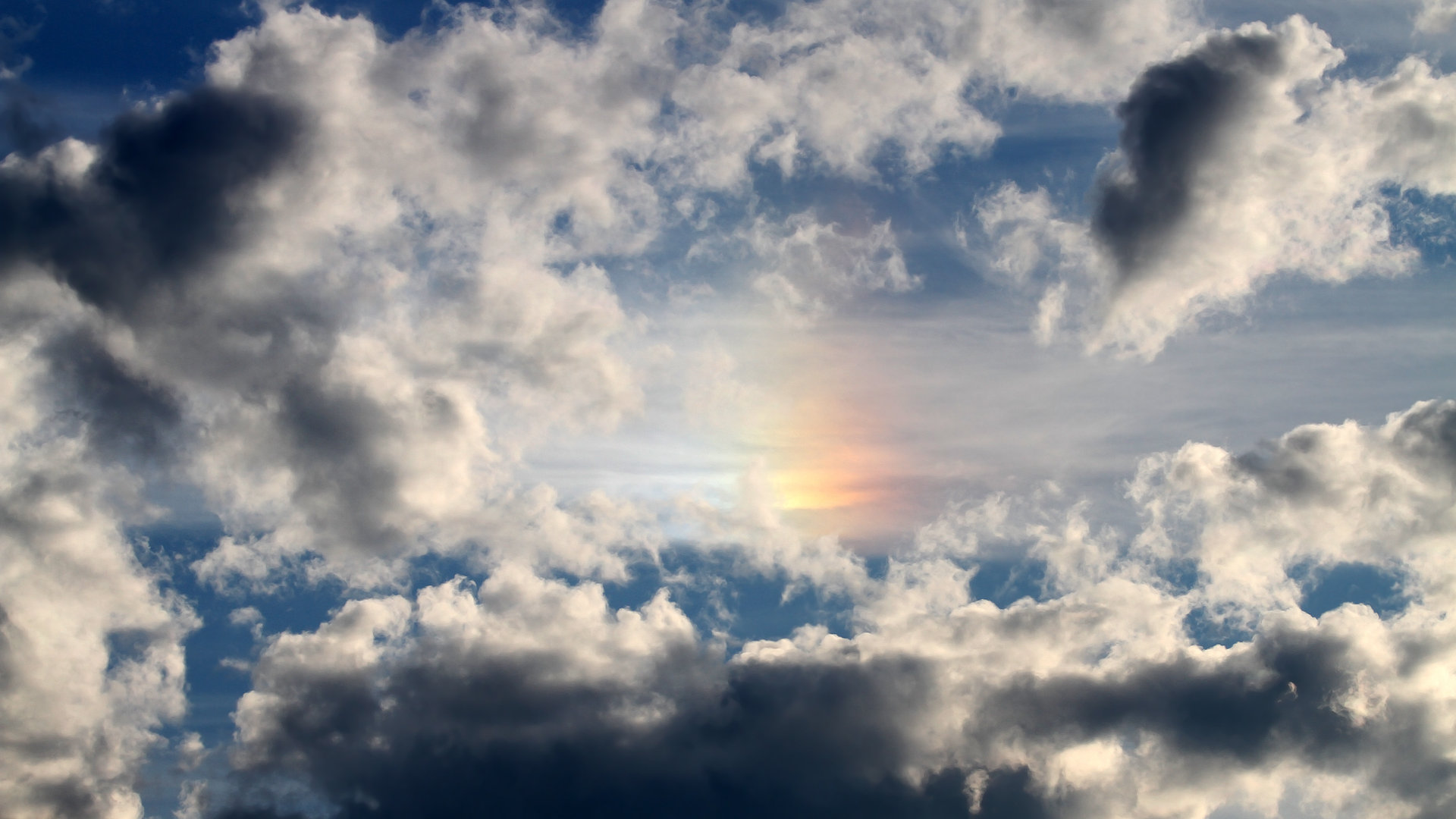 爱游戏娱乐网址-凯琳·科贝特赛场表现引发媒体热议，凯特琳菲贝尔和科比