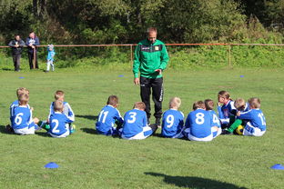 爱游戏体育-英超球队基于运动表现数据的战术布置调整案例